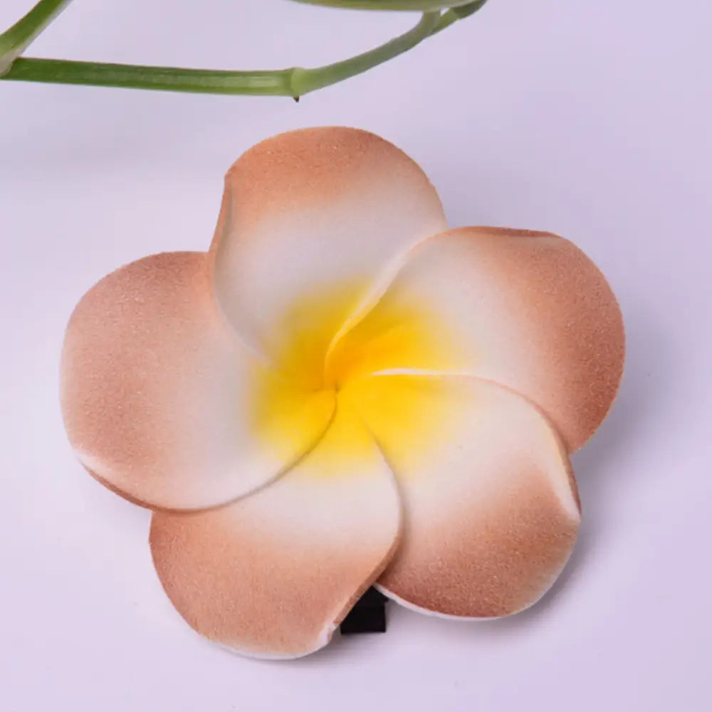 Pince cheveux fleur tahiti - Bordure marron / 4 CM