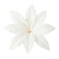 Barette tahitienne