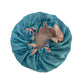 Bonnet femme - Bleu / 23 cm