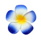 Pince cheveux fleur tahiti - Bordure bleu / 4 CM