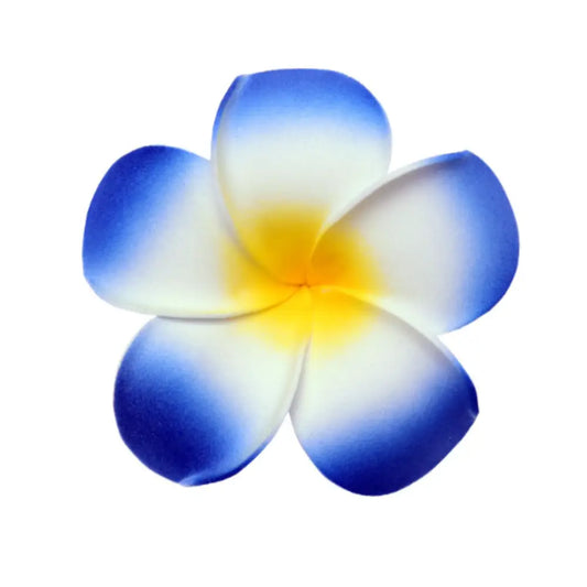 Pince cheveux fleur tahiti - Bordure bleu / 4 CM